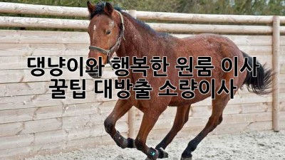 🐾 댕냥이와 행복한 원룸 이사🏠: 꿀팁 대방출! #소량이사