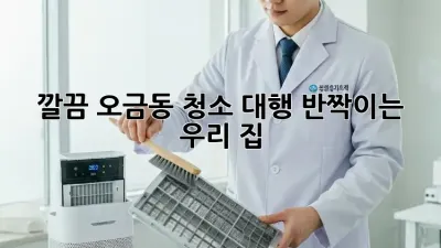✨ 깔끔✨ 오금동 청소 대행, ✨반짝이는✨ 우리 집! 🏡